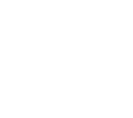 Leaf png